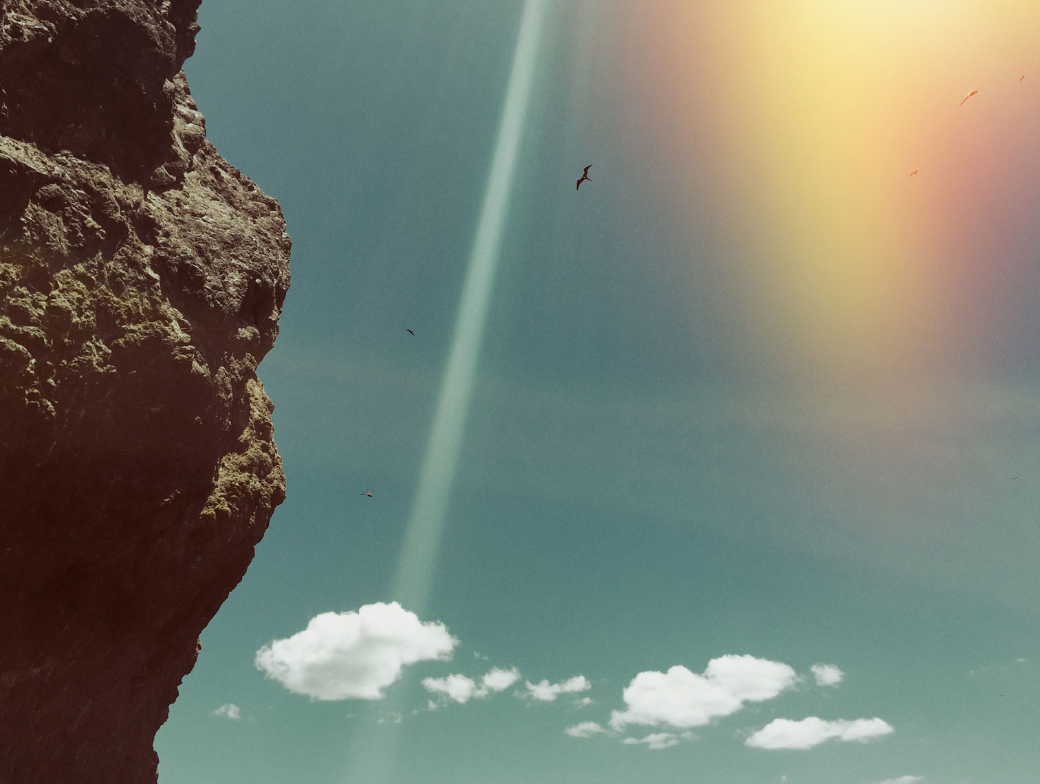 35mm_cliffs_birds
